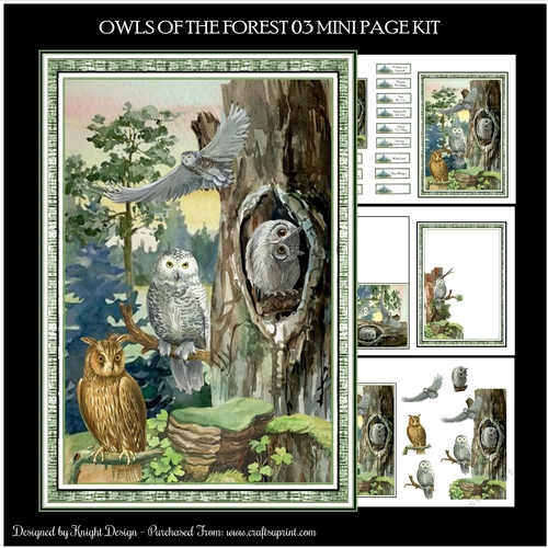 Owls Of The Forest 03 Mini Page Kit