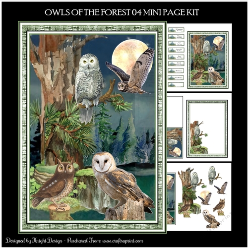 Owls Of The Forest 04 Mini Page Kit