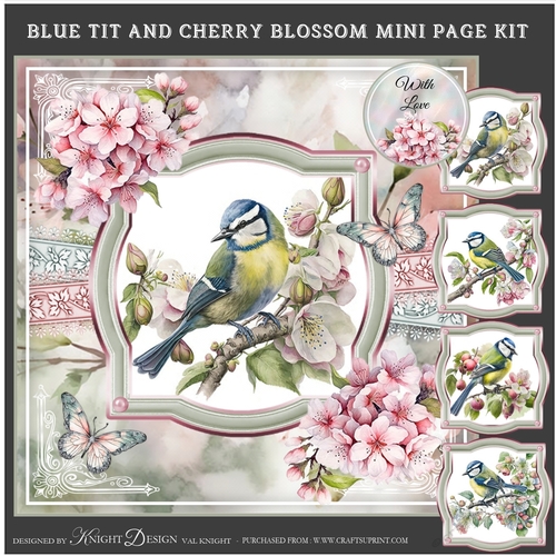 Blue Tit And Cherry Blossom Mini Page Kit 