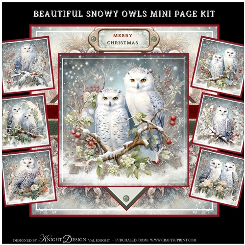 Beautiful Snowy Owls Mini Page Kit 