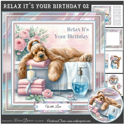 Relax Its Your Birthday 02 Mini Page Kit
