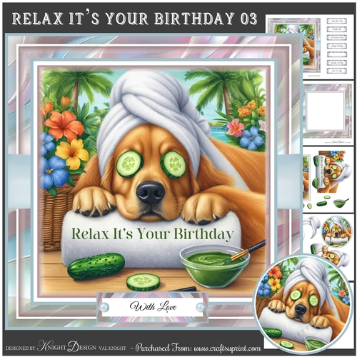 Relax Its Your Birthday 03 Mini Page Kit