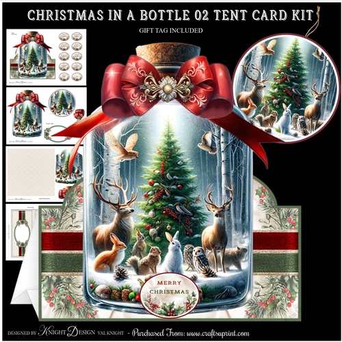 Christmas In A Bottle 02 Tent Card Kit 