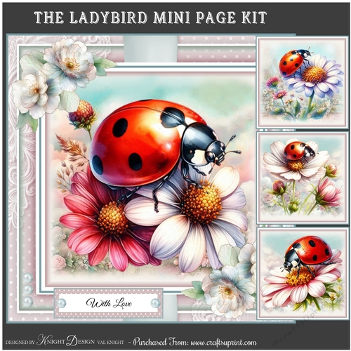 The Ladybird Mini Page Kit