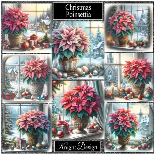 Christmas Poinsettia