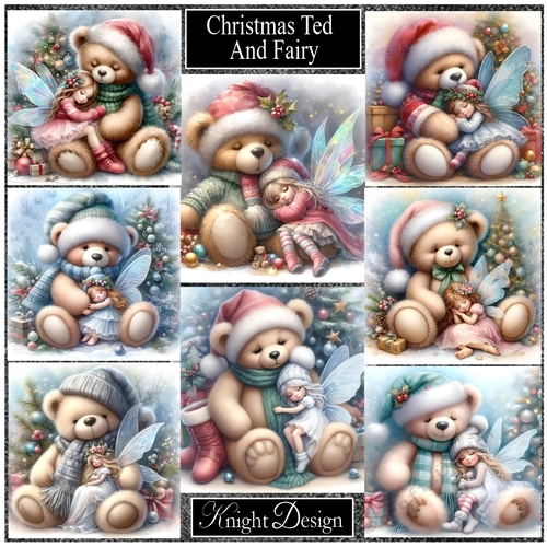Christmas Ted And Fairy