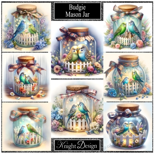 Budgie Mason Jar