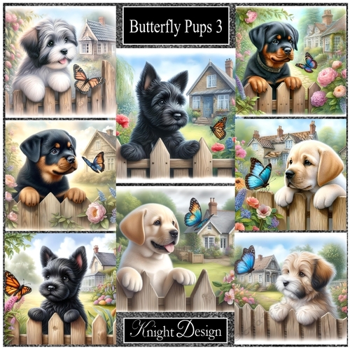 Butterfly Pups 3