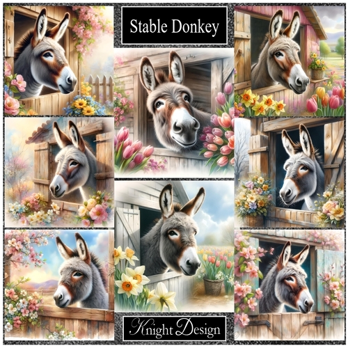 Stable Donkey