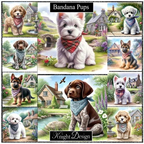 Bandana Pups