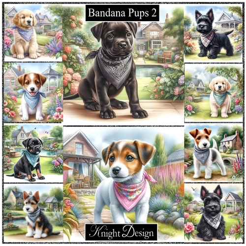 Bandana Pups 2