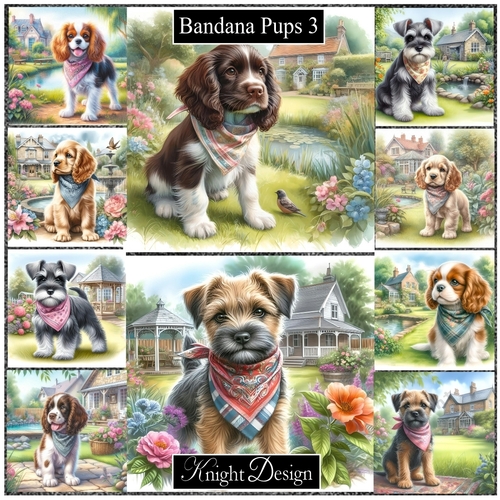 Bandana Pups 3