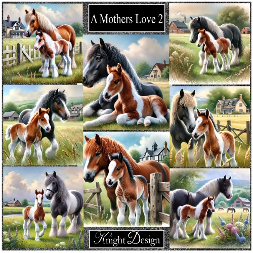 A Mothers Love 2