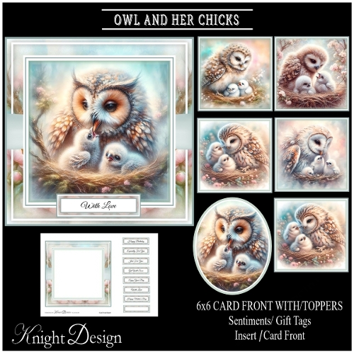 Owl And Her Chicks Mini Page Kit