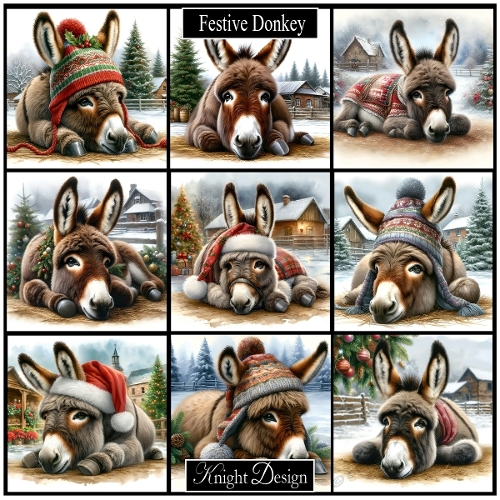 Festive Donkey