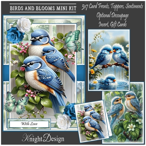 Birds And Blooms With Set Of 3 Card Fronts