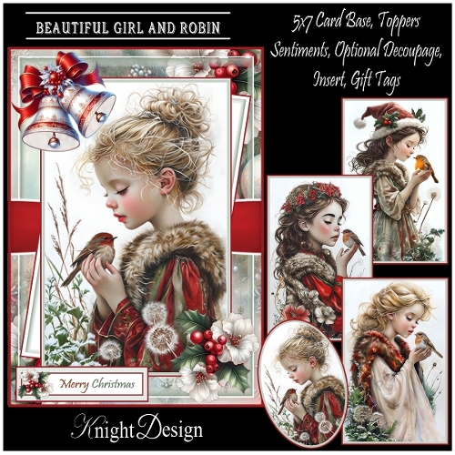 Beautiful Girl And Robin With Set Of 4 Toppers