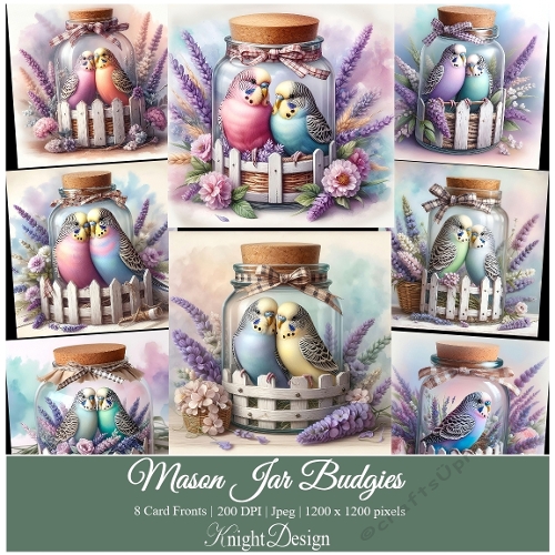 Mason Jar Budgies / Card Front / Toppers