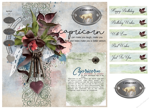 Zodiac Birthday Card - Capricorn