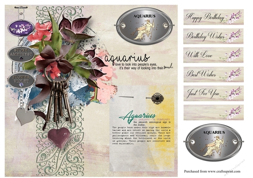 Zodiac Birthday Card - Aquarius