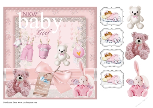 New Welcome Baby Girl card front with decoupage and sentiments