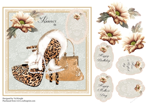 Cat in a shoe card front with decoupage and sentiments.