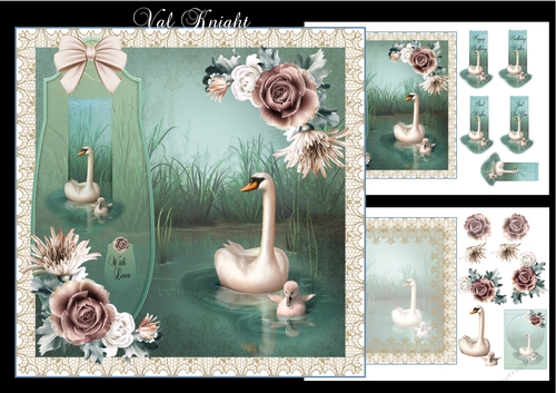 A Swan Song