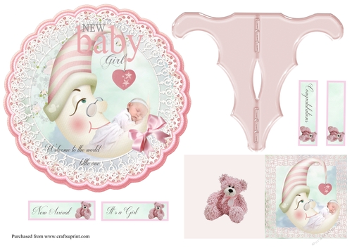 New Baby Girl Plate Card With Stand