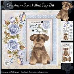Everyday is Special Mini Page Kit
