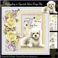Everyday is Special 2 Mini Page Kit