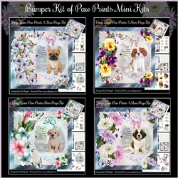 Bumper Kit of Dogs Leave Paw Prints Mini Kits