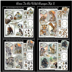 Born To Be Wild Bumper Kit 2 - Mini Page Kits