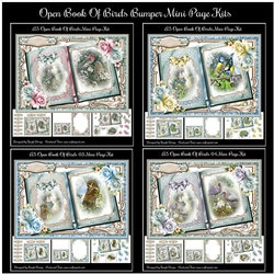 Open Book Of Birds Bumper Mini Page Kits