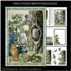 Owls Of The Forest 03 Mini Page Kit