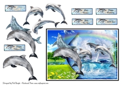 Dolphin World Card Front