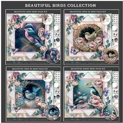Beautiful Birds Collection