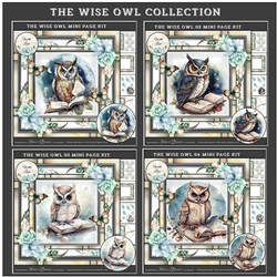 The Wise Owl Collection