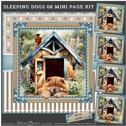 Sleeping Dogs 08 Mini Page Kit 