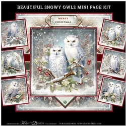 Beautiful Snowy Owls Mini Page Kit