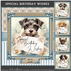 Special Birthday Wishes Mini Page Kit 