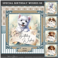 Special Birthday Wishes 02 Mini Page Kit 