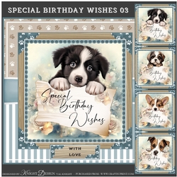Special Birthday Wishes 03 Mini Page Kit