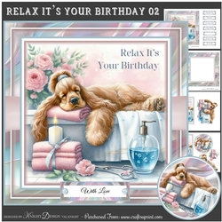 Relax Its Your Birthday 02 Mini Page Kit