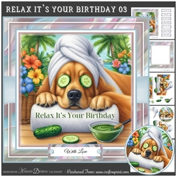 Relax Its Your Birthday 03 Mini Page Kit