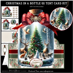 Christmas In A Bottle 02 Tent Card Kit