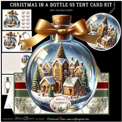 Christmas In A Bottle 03 Tent Card Kit