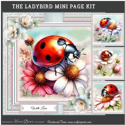 The Ladybird Mini Page Kit