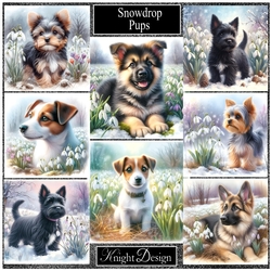 Snowdrop Pups