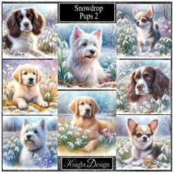 Snowdrop Pups 2