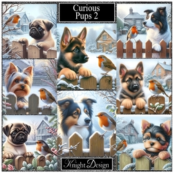 Curious Pups 2